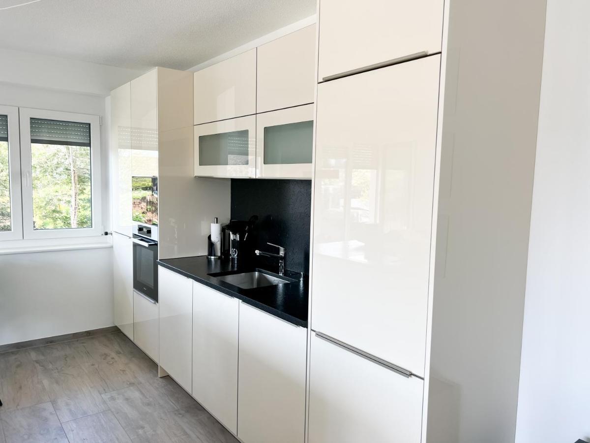 Wohnung Alpenblick بادن - فورتمبرغ المظهر الخارجي الصورة